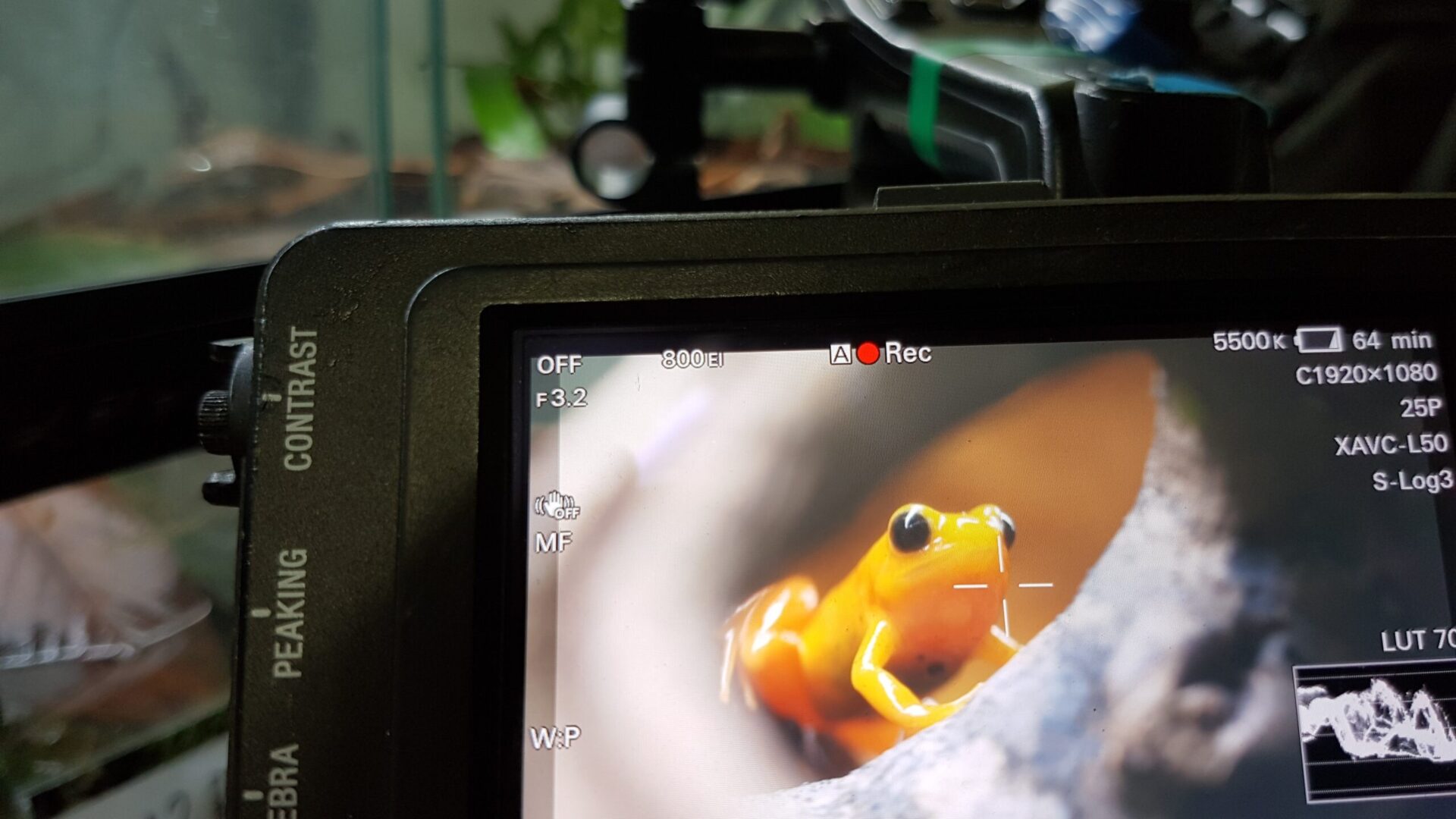 The Secret Life Of The Zoo, C4